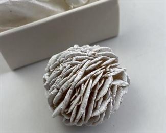 Desert Rose, New Mexico