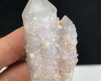 Amethyst Cactus, South Africa