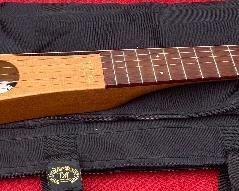 Martin Backpacker Six String with Case