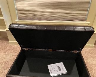 View of inside of chest