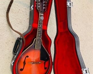 Mandolin in Case