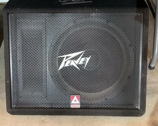 Peavey Speaker 