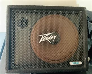 Peavey 112 Floor Monitor Stage Speaker
