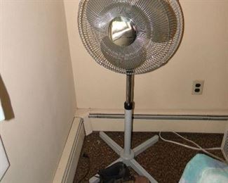 Fan