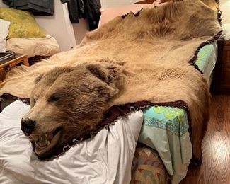A full Grizzly bear rug!