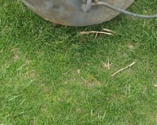 Large cast iron kettle