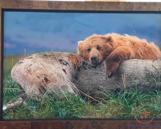 THOMAS MANGELSEN "Life's A Bear - Brown Bear" ARTIST PROOF 64/150 (30" x 45")