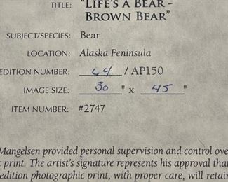 THOMAS MANGELSEN "Life's A Bear - Brown Bear" ARTIST PROOF 64/150 (30" x 45")