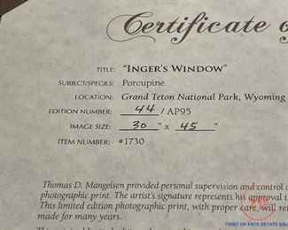 THOMAS MANGELSEN "Inger's Window" ARTIST PROOF 44/95 (30" x 45")