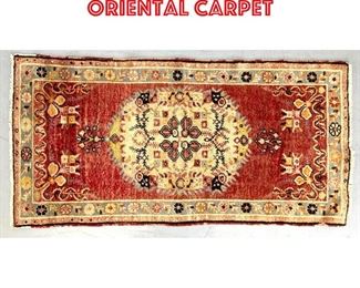 Lot 230 5 9 x 2 8 Rust Oriental Carpet