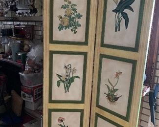 Painted Screen