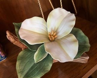 Beautiful magnolia - Trillium by Andrea - 1986