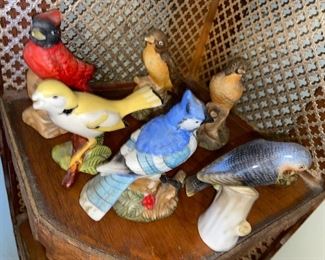 Birds!! $10-20 ea