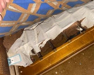 A bit scruffy but nice bones