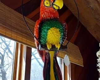 Parrot, perched 