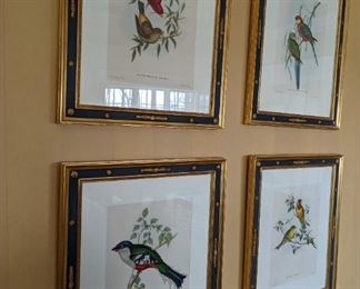 Eight Beautiful framed hand colored prints