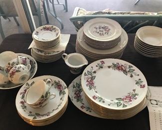 Hira/japan/prairie rose