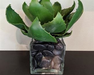 Decorative Cactus