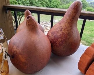 Gourds
