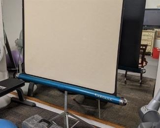 Radiant Movie Screen