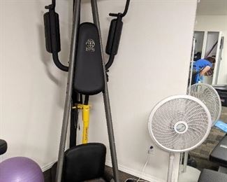 Gold's Gym Pullup Tower