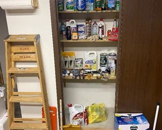 Step Ladder; Cleaning Supplies; Painting Supplies; Humidifier