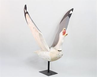 Lot 50: Very Large wooden carved and painted seagull with lifted wings and open mouth. Outstanding larger than life sculpture, reportedly made in Maine by artist TLA. Mounted on a new stand for display. Acquired near Boston in 1983. From the collection of Barbara Porter & Robert Wincuinas.

Dimensions are 51 in h x 50 in w x 38 in d. Condition is good with some surface wear. Please call or email for a detailed condition report.
