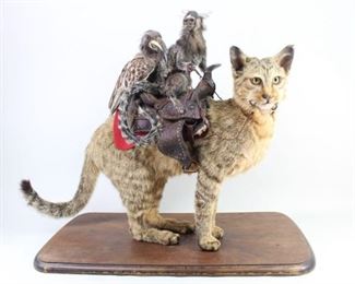 Lot 148: The first piece in the Unnatural Selections series, "Destination Unknown'' immortalizes the journey of three unlikely compatriots (an African wild cat, grey hornbill and marmoset monkey) in a post-apocalyptic future in which humankind no longer reigns supreme. Working under the pseudonym 'Anna Mills,' the artist, taxidermist, and provocateur contemplates a vaguely Orwellian world in which "The Great Chain of Being" is reshuffled and senscient animals reclaim dominion long-lost to humans in the primordial struggle for existence. With humans out of the picture, the newly anointed refuse to return to the "ancient ways." Instead, they form a new culture of pragmatic appropriation, collecting and curating the discarded vestiges of human society and celebrating them as objects of sublime utility. 

A digital representation of the work will be made available to the successful bidder as an NFT (Non-Fungible Token) upon request at no additional cost.

Dimensions are 21.25 in h x 26 in 