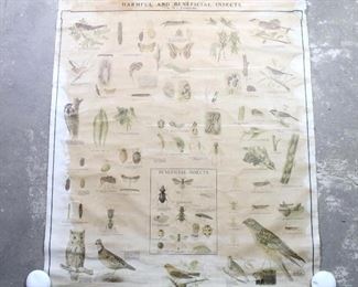 Lot 182: 1940s F.L. Washburn Harmful & Beneficial Insects Entomology Chart. An educational pull down chart of insects with wood top and bottom, illustrated in color. Marked "Copyright by F.L. Washburn, state entomologist of Minnesota."

Dimensions are 51 in h x 47 in w x 1 in d. Condition is fair to good. Heavy staining and discoloration. Creases, worn edges and a couple of small holes. Surface wear throughout. Please call or email for a detailed condition report.