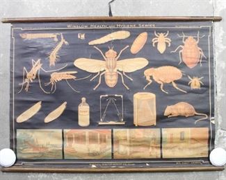 Lot 184: Antique Winslow Health & Hygiene Insect Enemies Chart. An educational pull down chart published by Denoyer-Geppert Co., Chicago. Illustrated with "Insect Enemies" as part of Winslow Health & Hygiene Series. Illustrated in color on black background. Marked "W15 Insect Enemies."