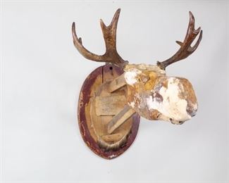 Lot 346: Taxidermy Moose Form Mount w/Real Skull & Horns. Signed in ink on the top of the snout, (first name illegible) Werner, vintage or antique moose form with real skull, teeth and horns is mounted on a wooden plaque and stuffed with straw and plaster over wood. 
Dimensions are 33 in h x 27.5 in w x 41.5 in d. Condition is fair with wear to the wood, paint and plaster broken off. Please call or email for a detailed condition report.