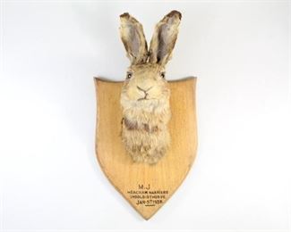 Lot 354: 1930s Rabbit Hare Head Mask Mount Taxidermy,Shelbrooke. An antique hare mask on an oak shield with the inscription "M.J Heacham Harriers, Ingoldisthorpe, Jan 5th 1938" on the front and taxidermist label on the back "W. Shelbrooke" dated "14-6-1938."

Dimensions are 14.5 in h x 7.5 in w x 5.25 in d. Condition is fair to good. Surface wear and minor paint loss to mount and writing. Hare has minor wear and the neck is slightly separating from the head. Minor wear to ears and eyelids. Please call or email for a detailed condition report.