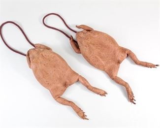 Lot 378: Pair of Cane Toad Taxidermy Coin Purses. Zipper on belly for access to interior, with long straps that can tuck inside for storage. Frog skins feel like leather. Good conversation starter or cause for double takes from passersby.

Dimensions of each frog: 9.75 in h x 5 in w x 1.75 in d. Condition is excellent good, with very minor wear. Please call or email for a detailed condition report.