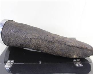 Lot 390: Taxidermy Preserved Tail of a Hippo in Display Case. A tail of a Hippo, preserved, with the end incased in hammered silver metal with a hook. In a clear case with black bottom and back.

Dimensions of case are 7.75 in h x 12.25 in w x 7.75 in d. Condition is very good. Some minor surface wear. Minor wear to case. Please call or email for a detailed condition report.