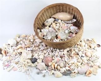 Lot 424: Huge Collection Seashells Corals Fossils Crystals Stones. Most of the pieces in this collection are small in size, but there is an astonishing variety of shapes, colors, and textures. Mostly shells and corals, but also includes a few fossils, crystals, mineral stones, and even small dried puffer fish. 

Dimensions of the largest shell are 9 in h x 4.75 in w x 3.5 in d. Smallest are under half-inch wide. Dimensions of the included basket holding the collection are 14.5 in h x 15.5 in w x 16 in d. Condition of the collection overall is good, though there are many chipped and damaged shells included. Please call or email for a detailed condition report.