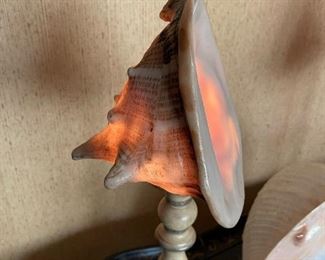 Conch Shell Table Lamps