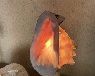 Conch Shell Table Lamps