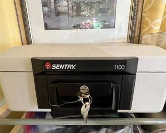 Fireproof document safe