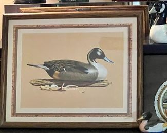 Mallard print
