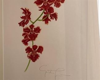 LivRMC.Gibson Orchid