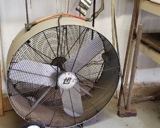 big fan