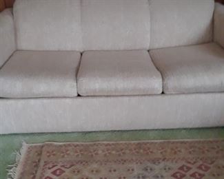 Sleeper sofa, rug