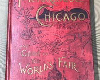 263 Picturesque Chicago A Guide To The Worlds Fair