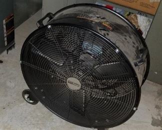 fan