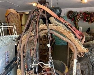 King Series saddle, Hereford Textan saddle, various bridles, etc...Saddle stand not for sale.