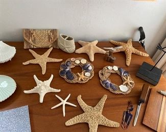 Big selection of different star fish