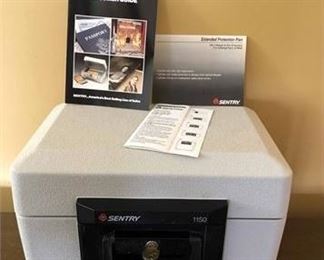 Sentry Portable Safe 