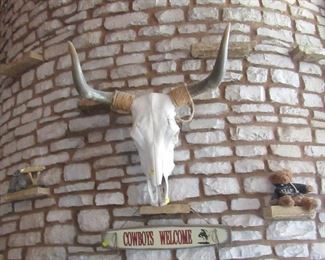 Cow skull. Also two nice longhorn (horn) plaques.