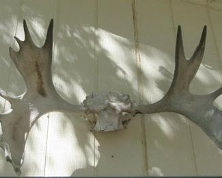 Moose horns (over side door) buyer is responsible for taking them down.