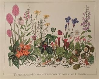 Threatened & Endangered Wildflowers of Georgia  Print by Geri Davis